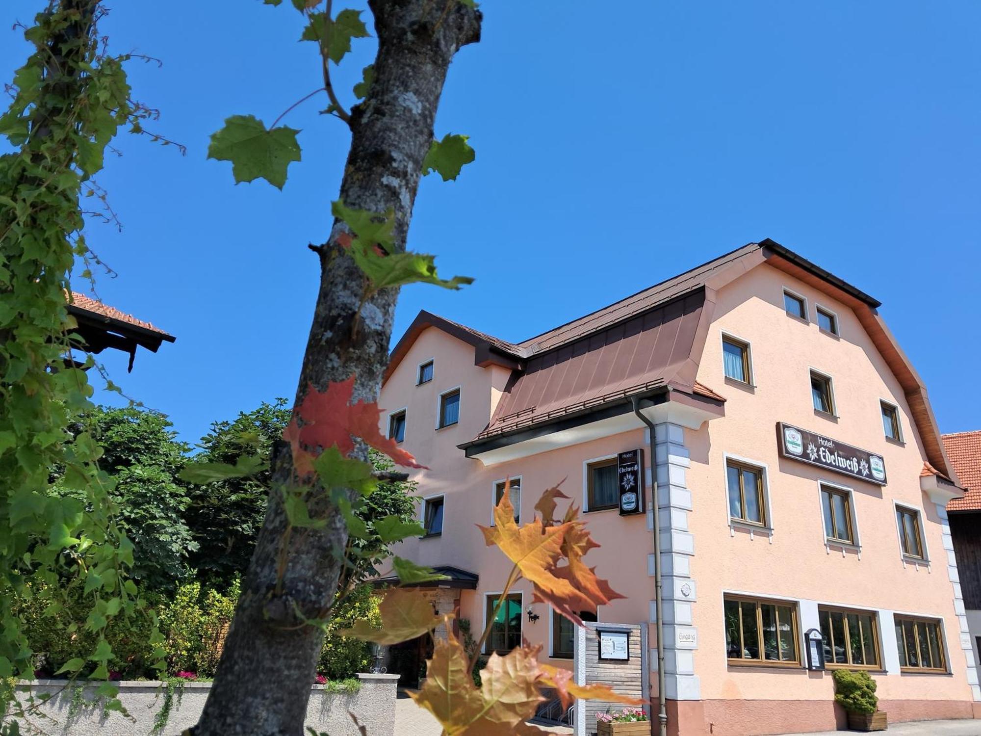 Hotel Garni Edelweiss Siegsdorf Exterior photo
